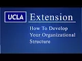 Business Organizational Structure