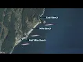 Drone footage of great white shark taken at Pine Point Beach in Scarborough