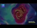 11 Minutes Powerful Chubby Cheeks Subliminal | Grow Fats on Face, Binaural Beats | Rounder Cheeks