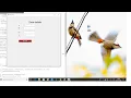 DateDetailsEntry - Tkinter