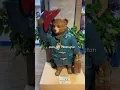 Download Lagu Hello Mr. Paddington bear | it’s a bear 🐻#paddingtonbear #ytshorts #uk