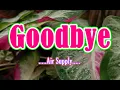 Goodbye - Air Supply Karaoke Version