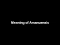 What is the Meaning of Amanuensis Amanuensis Meaning with Example