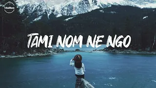 tami nom ne ngo lyrics nikom riba
