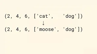 The Amazing Mutable Immutable Tuple and Other Philosophic Digressions