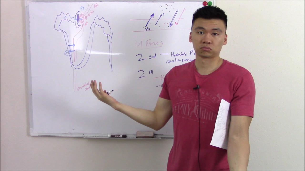 USMLE Renal 10: Renal Physiology Made Easy (Clearance and GFR)