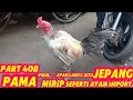 Lagu PART 408 🛑 Viral ‼️Ayam Terjual 5 Juta Di Pasar Ayam Pecangaan Jepara Jawa Tengah