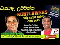 Download Lagu SUNFLOWERS WITH DANAPALA UDAWATHTHA,ධනපාල උඩවත්ත පැරණි සන්ෆ්ලවර් LIVE කුලියාපිටිය2004RECREATED SOUND