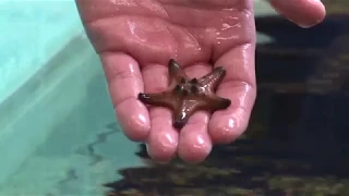 Tyler Ziegler News Reel