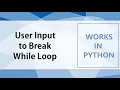 Controlling the While Loop Exit through User Input