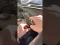 F-150 IWE Check Valve and Vacuum Solenoid