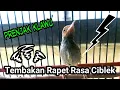 Download Lagu Mantab, Prenjak Kepala Merah Tembakan Rasa Ciblek