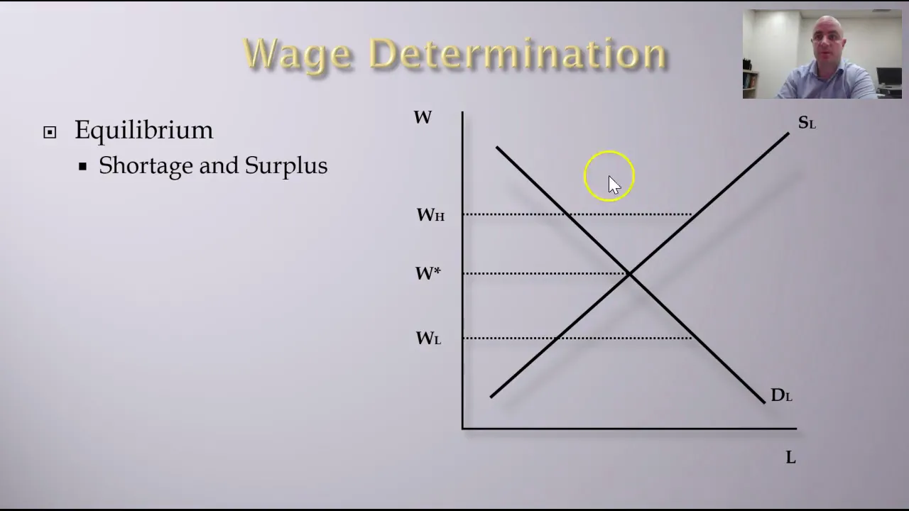 Labor Economics - Labor Supply and Wage Determination Overvi