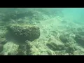 Serene Depths  Snorkeling Adventures in the Enchanting Waters of Kauai Hawaii Part 1