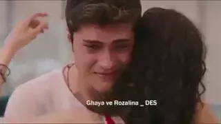 واحشانى دنيته وحشانى دندنها