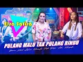 Download Lagu Orkes Cewek / Mahadewi Elsa Safira - Pulang Malu Tak Pulang Rindu ARMADA ( Official Music Live )