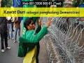 Download Lagu Hub 081 3306 900 81 Tsel, Tiang Pagar Kawat Duri