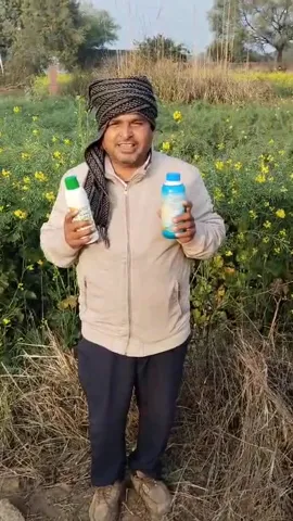 करौली के किसान के खेतों में कैसे लहलहाई सरसों की खेती  | वनइंडिया हिंदी