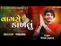 Lagu Gujarati New aalap Vishal yogiraj jordar//vagse dakhlu tara dhar ma Gujarati New aalap jordar