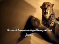 Download Lagu Enigma   Return To Innocence Subtitulada en Español