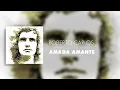 Roberto Carlos - Amada Amante (Áudio Oficial)
