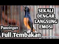 Lagu SEKALI DENGAR LANGSUNG EMOSI !! PANCINGAN MURAI BATU GACOR FULL ISIAN TEMBAKAN DAN KRETEKAN GANAS