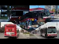 TTC Buses Fall 2025