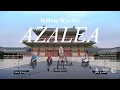 Download Lagu [MV] Azalea by Rolling Quartz (Eng/Esp Sub) 진달래꽃 by 롤링쿼츠 #KRock #GirlBand