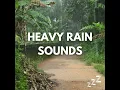 Dark Screen Rain