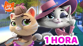 44 Gatos | Equipe de Detetives em ação! 🕵️‍♂️ 1 HORA de Episódios Completos