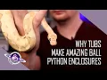 Ball Python Breeding Starter Guide Why Tubs Make the Best Enclosures for Ball Pythons