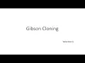 Lagu Gibson Cloning and Primer Designing