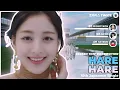 Download Lagu TWICE (トゥワイス) - HARE HARE | Screen Time Distribution