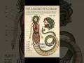 Download Lagu inilah gorgon #gorgon