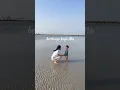 Download Lagu Terima kasih buat 1 juta penonton Youtube lagu Suatu Hari 🤍