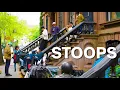 New York s Stoops Explained