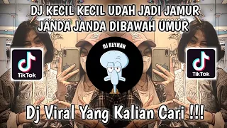 Download DJ KECIL KECIL UDAH JADI JAMUR JANDA JANDA DIBAWAH UMUR VIRAL TIK TOK TERBARU YANG KALIAN CARI! MP3
