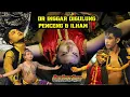 Lagu DR INGGAR DIGULUNG ILHAM \u0026 PENCENG ‼️ JATHILAN PUTRO BARONG BUDOYO • PUTRA ABIMANYU NDADI