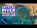The Manatee Super Highway 3 Big Things to Know