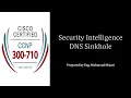 27 - Security Intelligence DNS Sinkhole