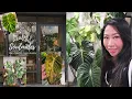 Planty Adventure Leafy Soulmates and Plant Swap