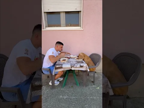 BENI VS SIMI - Cevapi! 😆