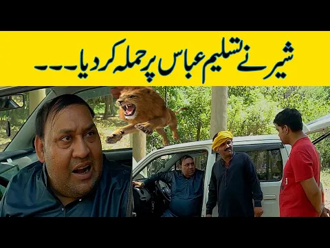 Download MP3 Tasleem Abbas and Soni Comedy Show || Jungle Mian Car Kharab Ho Gai