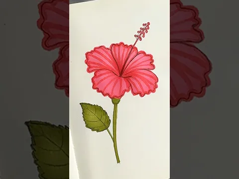 Easy way to draw hibiscus flower 🌺 #shorts #art #drawing #youtubeshorts