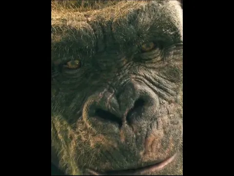 She Showed Kong Her Doll… And Made Him Feel Less Alone! 🦍❤️ | Godzilla vs. Kong #shorts