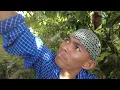 Download Lagu TAUSOG PALLAH. Inah Dayang. Napiso hi Abdul Ng dag.manggis