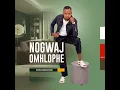 Download Lagu NOGWAJOMHLOPHE - NGADLANI KABANI