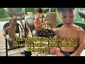 Tori Roloff Gives Jackson Josiah Haircuts and She s So Nervous