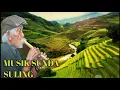 Download Lagu SULING SUNDA NO COPYRIGHT