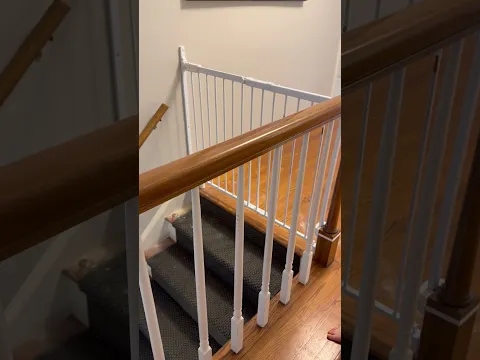 ¡Puerta de arriba para su perro!